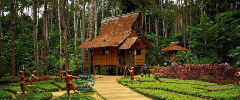 Discover Eden Nature Park: Serene Retreat in Davao